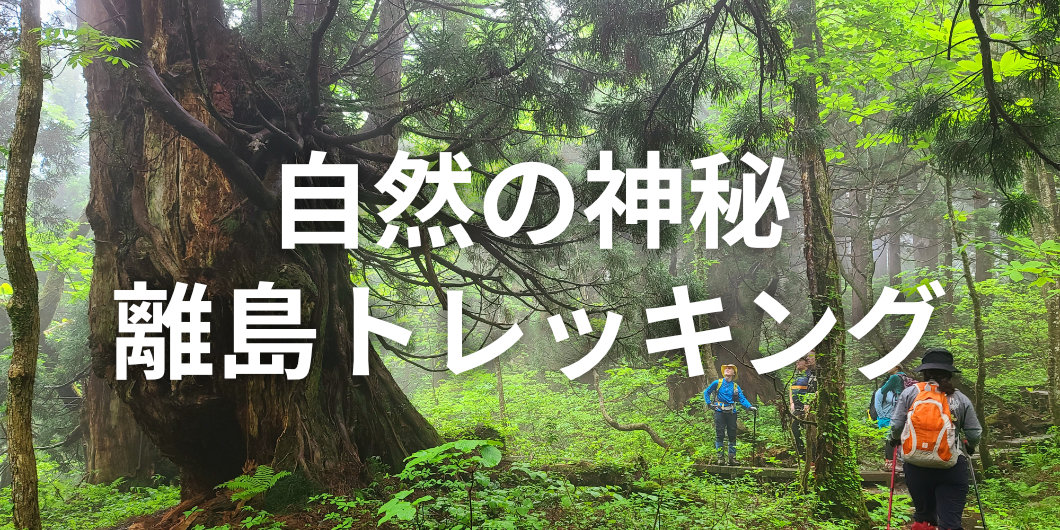 自然の神秘 離島の山 トレッキング体験 in 佐渡島